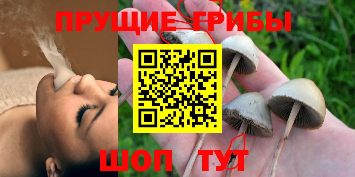 Галлюциногенные грибы Cubensis Звенигород