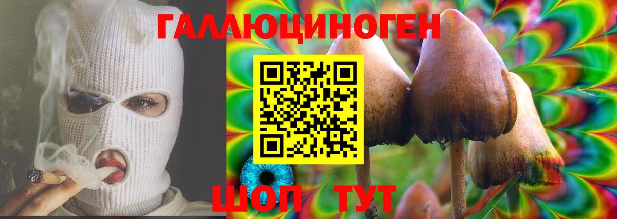 Галлюциногенные грибы GOLDEN TEACHER  Вход с VPN  Звенигород 